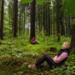 Waldbaden Entspannen und Relaxen Heilkraft des Waldes